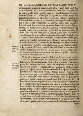 De Magnetica [...] Plantarum  p. 616